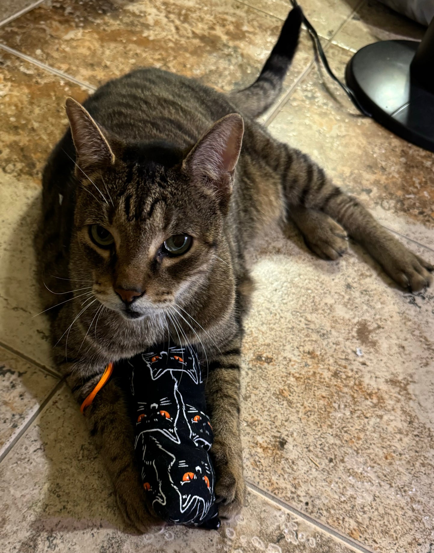 Cat Kicker Toys Cotton with Organic Potent Catnip